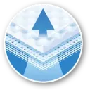 USP 3.webp